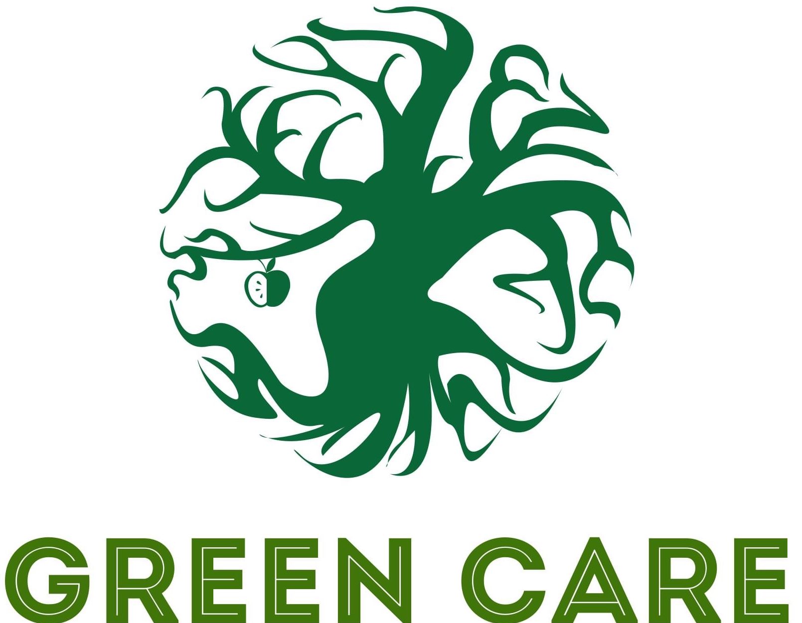 Green Care Air Ducts and Chimney Services